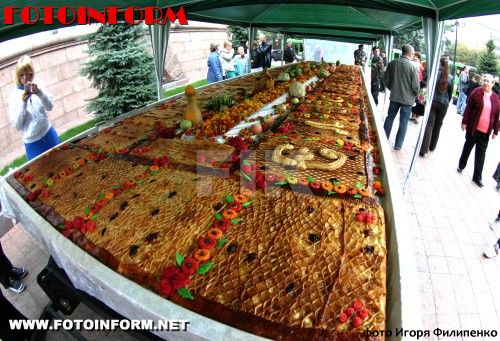 В Кировограде установлен новый рекорд Украины (фото)